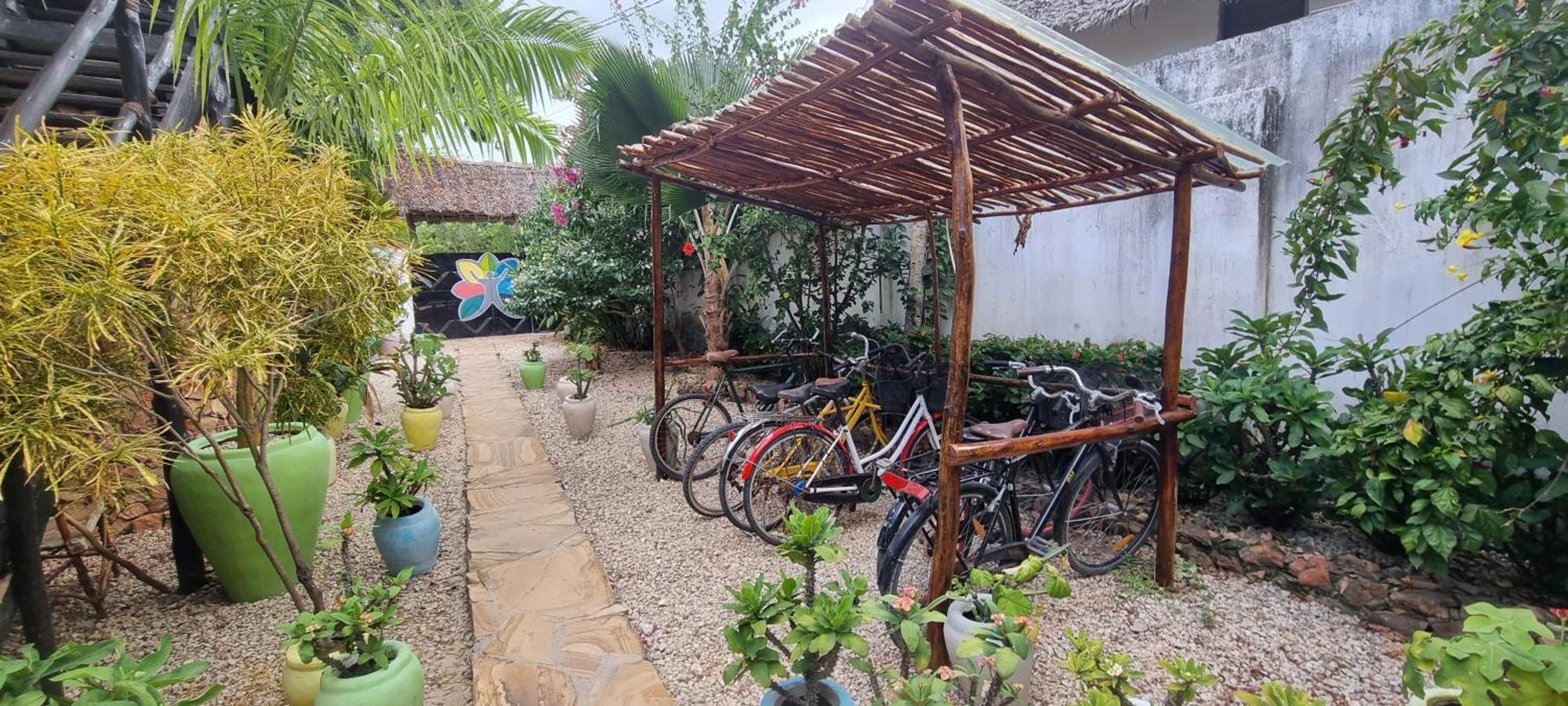 Salama & Mbuyuni Bungalows Matemwe  Εξωτερικό φωτογραφία